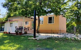 Tiny House Dora